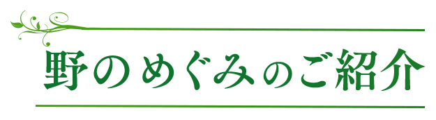 野の恵みのご紹介