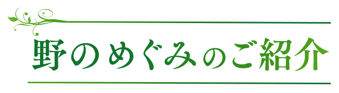 野の恵みのご紹介